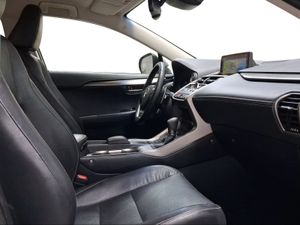 Lexus NX 2.5 300h Executive Kick Power+Navig  - Foto 7