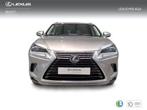 Lexus NX 2.5 300h Executive Kick Power+Navig  - Foto 6