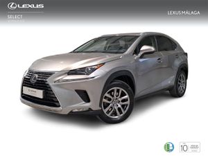 Lexus NX 2.5 300h Executive Kick Power+Navig  - Foto 2