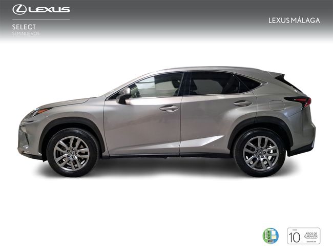 Foto coche