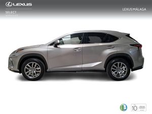 Lexus NX 2.5 300h Executive Kick Power+Navig  - Foto 4