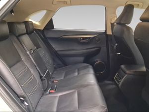 Lexus NX 2.5 300h Executive Kick Power+Navig  - Foto 8