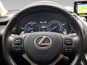 Lexus NX 2.5 300h Executive Kick Power+Navig  - Foto 14