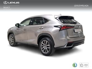 Lexus NX 2.5 300h Executive Kick Power+Navig  - Foto 3