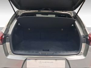Lexus UX 2.0 250h Business  - Foto 10