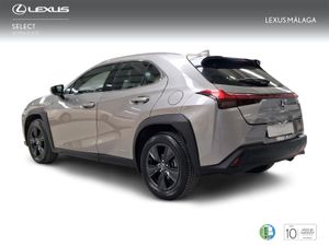 Lexus UX 2.0 250h Business  - Foto 3