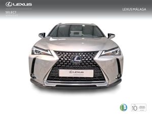 Lexus UX 2.0 250h Business  - Foto 6