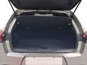 Lexus UX 2.0 250h Business  - Foto 10