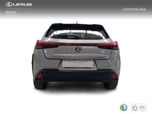 Lexus UX 2.0 250h Business  - Foto 5