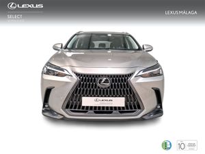Lexus NX 350h Business City 2WD  - Foto 6