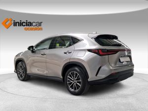 Lexus NX 350h Business City 2WD  - Foto 3