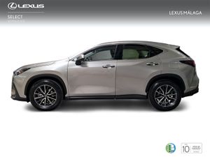 Lexus NX 350h Business City 2WD  - Foto 4