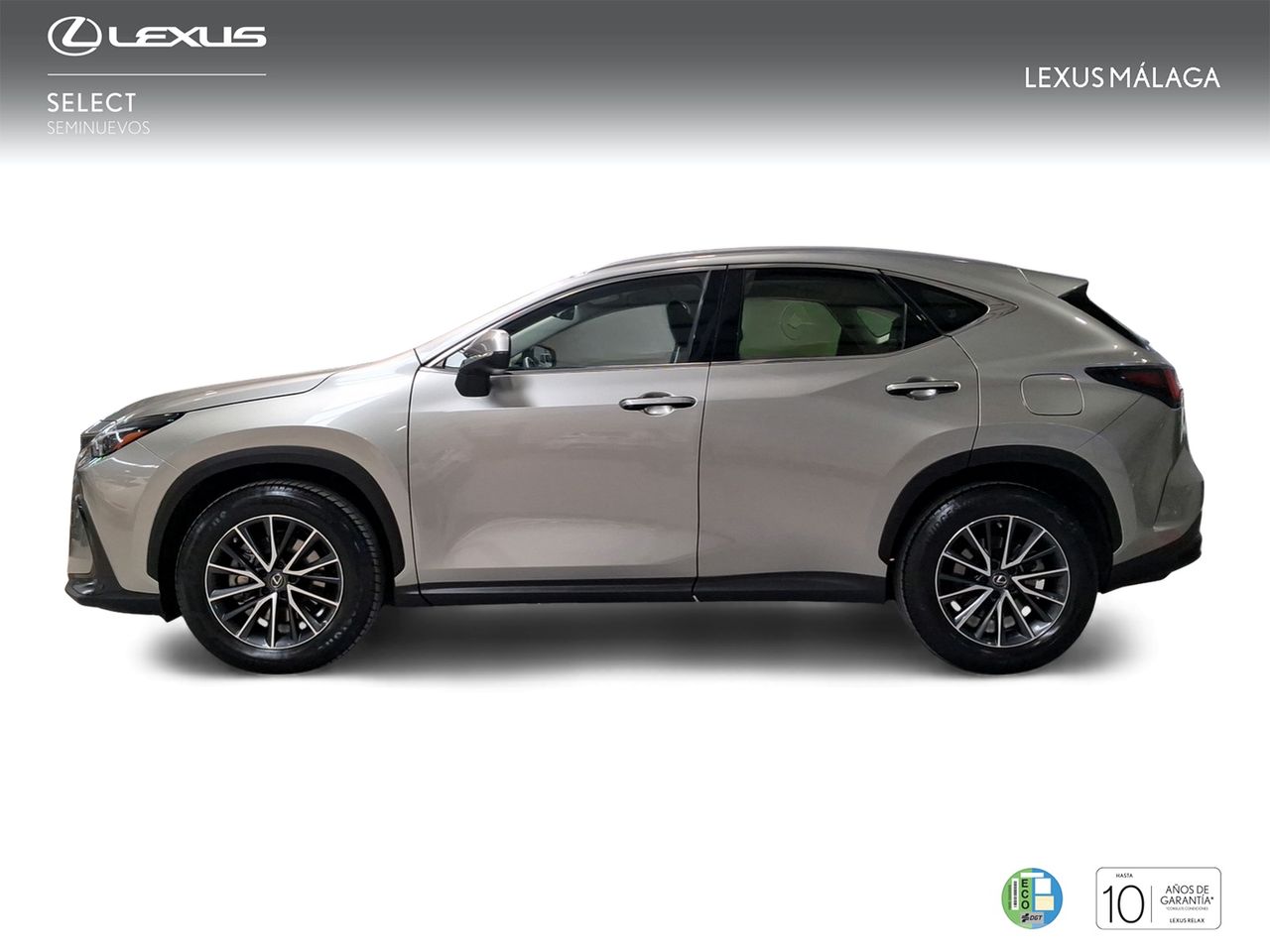 Lexus NX 350h Business City 2WD  - Foto 4