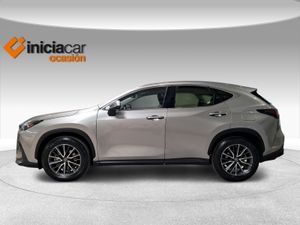 Lexus NX 350h Business City 2WD  - Foto 4