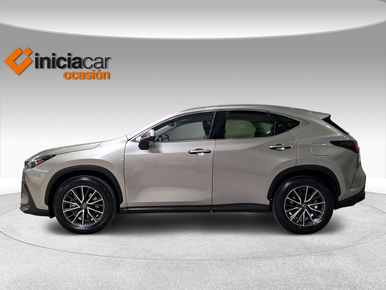Lexus NX 350h Business City 2WD  - Foto 4