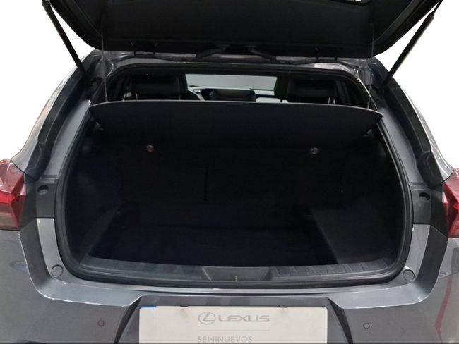 Foto coche