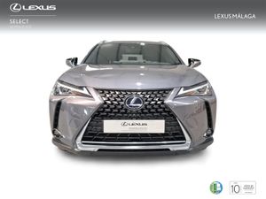 Lexus UX 2.0 250h Premium  - Foto 7