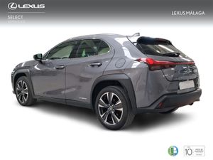 Lexus UX 2.0 250h Premium  - Foto 3