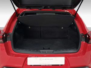 Lexus UX 2.0 250h Business  - Foto 10