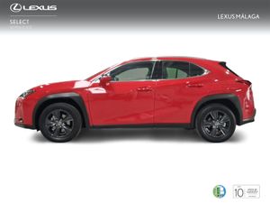 Lexus UX 2.0 250h Business  - Foto 4