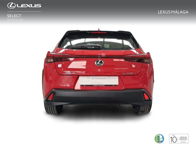 Foto coche
