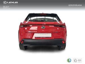 Lexus UX 2.0 250h Business  - Foto 5