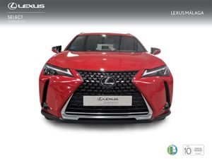 Lexus UX 2.0 250h Business  - Foto 6