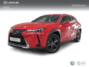Lexus UX 2.0 250h Business  - Foto 2