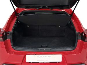 Lexus UX 2.0 250h Business  - Foto 10