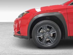 Lexus UX 2.0 250h Business  - Foto 11
