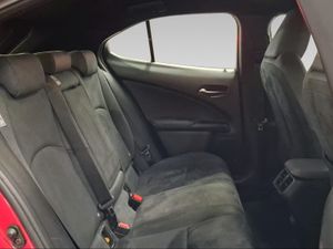 Lexus UX 2.0 250h Business  - Foto 8