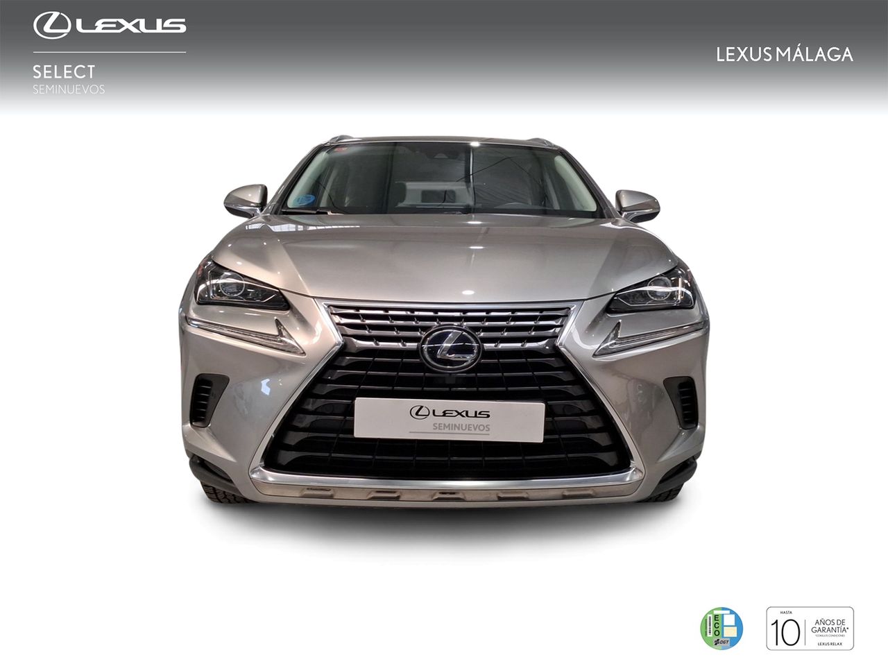 Lexus NX 2.5 300h Business Navigation 2WD  - Foto 6