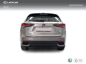 Lexus NX 2.5 300h Business Navigation 2WD  - Foto 5