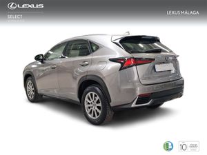 Lexus NX 2.5 300h Business Navigation 2WD  - Foto 3