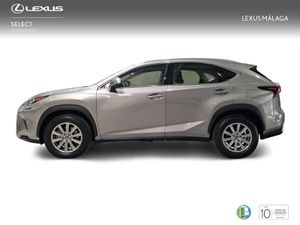 Lexus NX 2.5 300h Business Navigation 2WD  - Foto 4