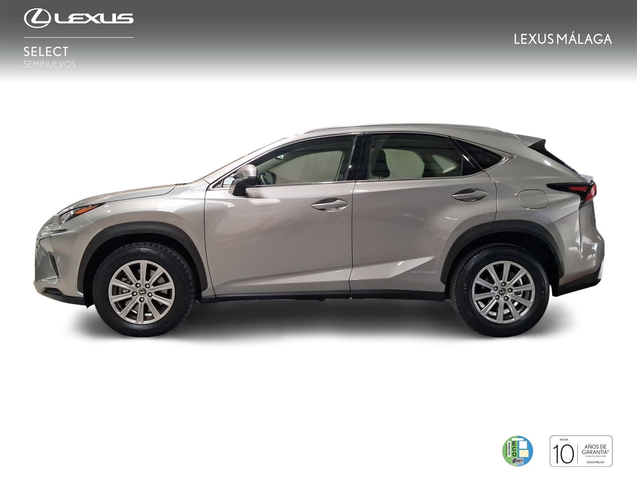 Lexus NX 2.5 300h Business Navigation 2WD  - Foto 4