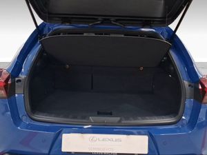 Lexus UX 2.0 250h Style  - Foto 10