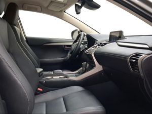 Lexus NX 2.5 300h Premium 2WD  - Foto 7