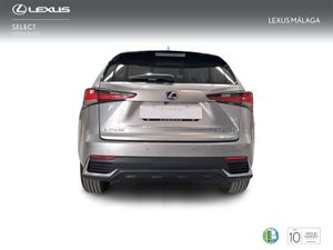 Lexus NX 2.5 300h Premium 2WD  - Foto 5