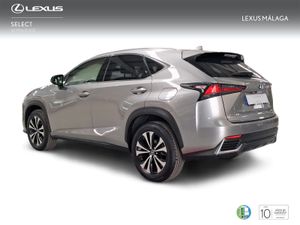 Lexus NX 2.5 300h Premium 2WD  - Foto 3