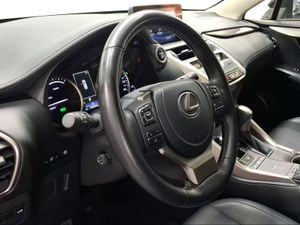 Lexus NX 2.5 300h Premium 2WD  - Foto 16