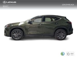 Lexus NX 350h Premium+ 2WD  - Foto 4