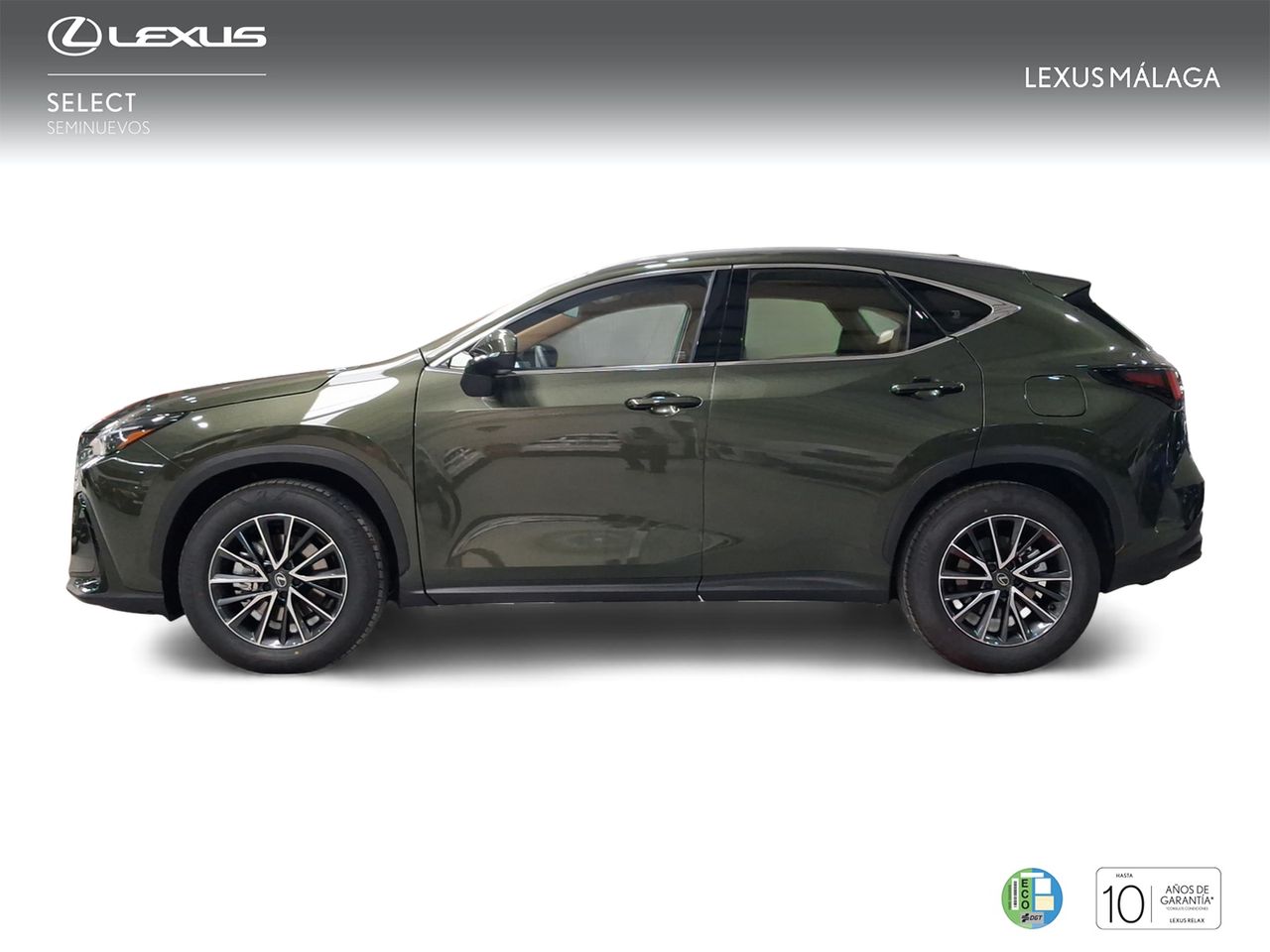 Lexus NX 350h Premium+ 2WD  - Foto 4