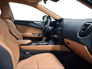 Lexus NX 350h Premium+ 2WD  - Foto 7