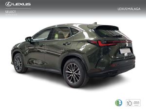 Lexus NX 350h Premium+ 2WD  - Foto 3