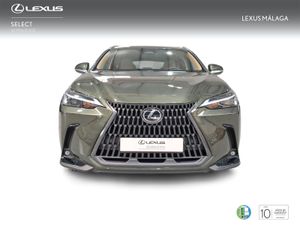 Lexus NX 350h Premium+ 2WD  - Foto 6
