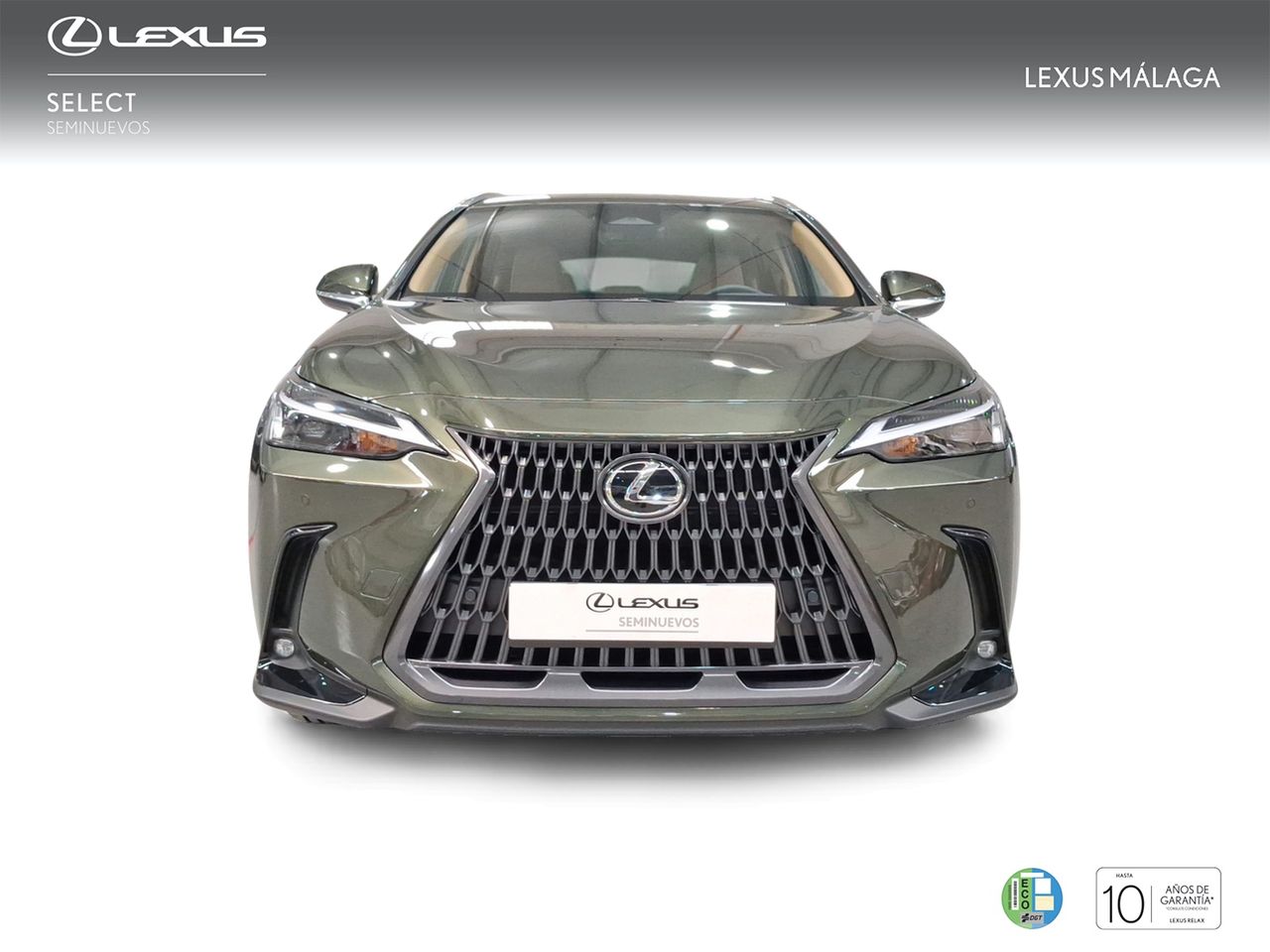 Lexus NX 350h Premium+ 2WD  - Foto 6