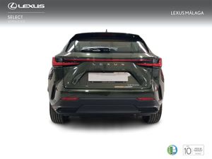Lexus NX 350h Premium+ 2WD  - Foto 5