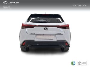 Lexus UX 300h F Sport Legend  - Foto 5