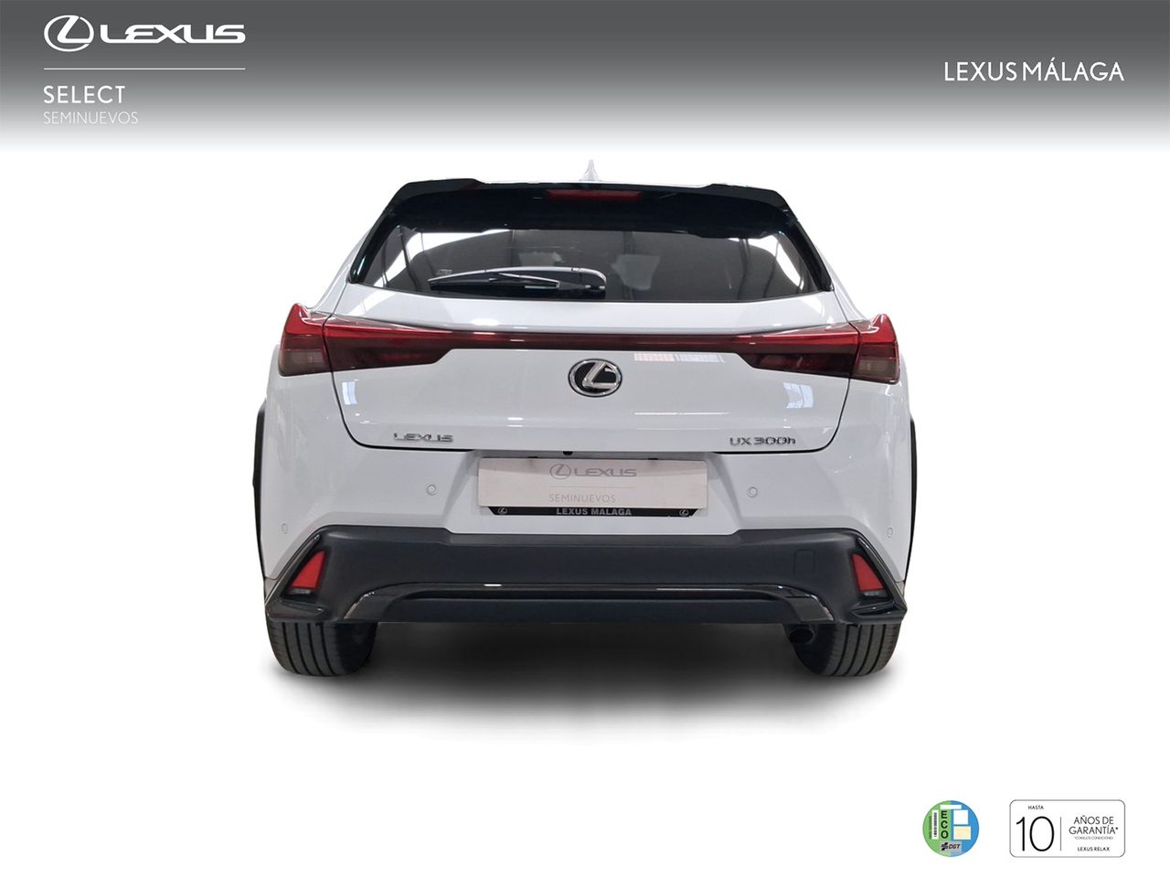 Lexus UX 300h F Sport Legend  - Foto 5